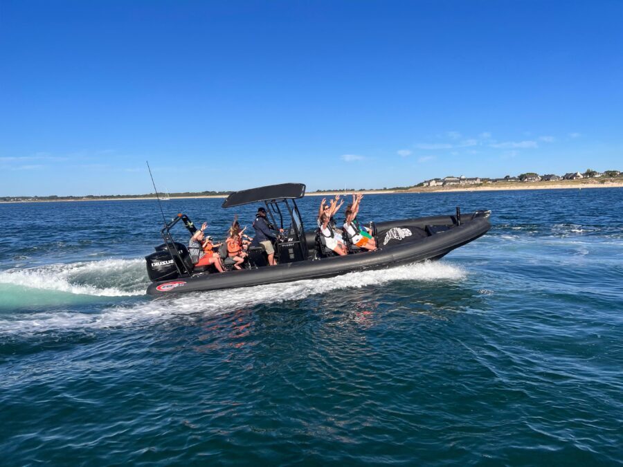 Sea trip Golfe du Morbihan Arzon - The Highlights: Why You’ll Love It