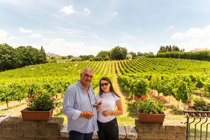 Sella delle Spine Taurasi: Tasting, Vineyard and Winery Tour - Exploring the Itinerary and Highlights