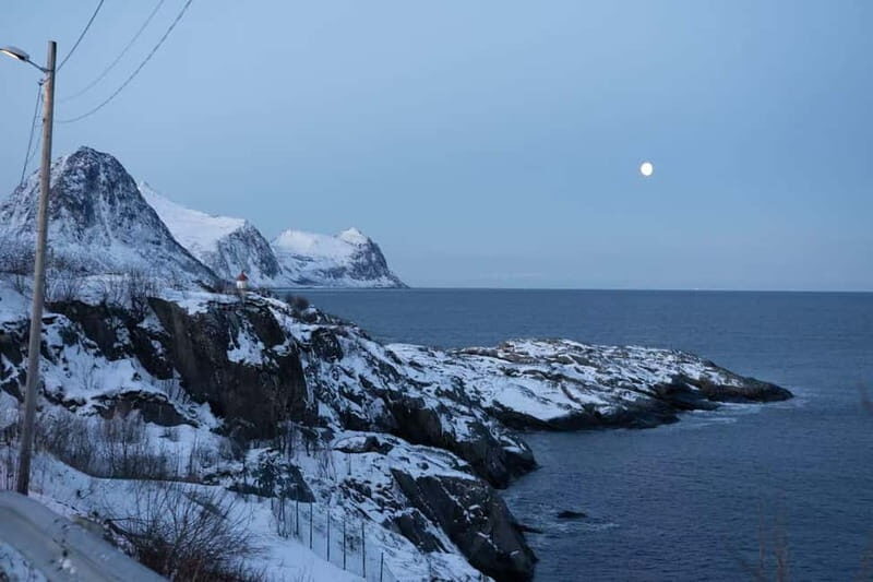 Senja: Full-Day Guided Tour with Husøy and Ersfjord - Final Thoughts: Who Should Take This Tour?