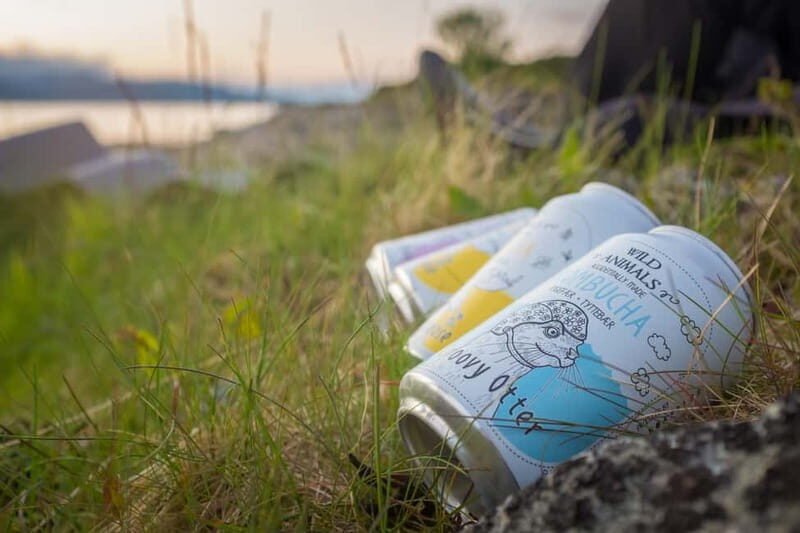 Senja: Midnight Sun Kayaking in Ånderdalen National Park - What’s Included and What to Expect