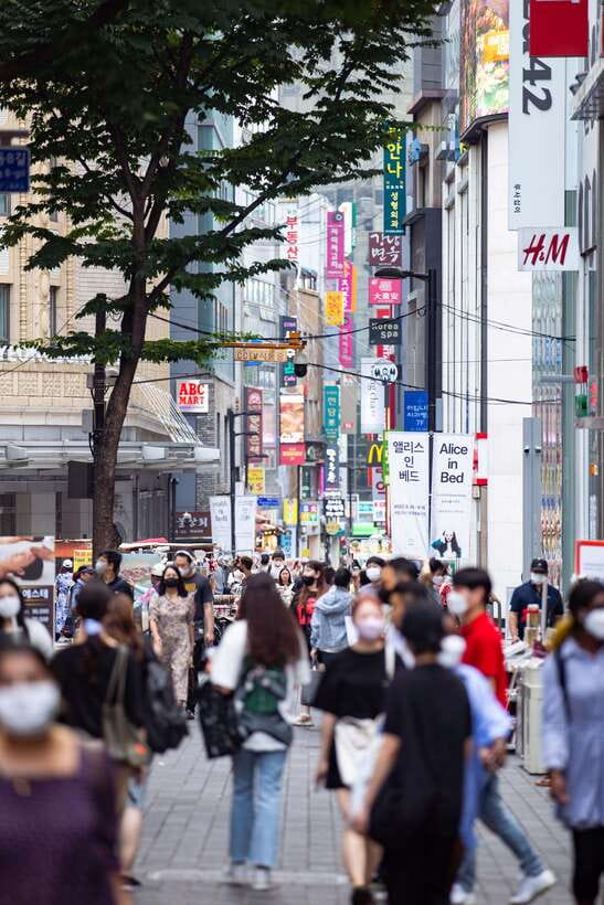 Seoul: Private chartered vehicle Carnival van City Tour - Who Should Consider This Tour?