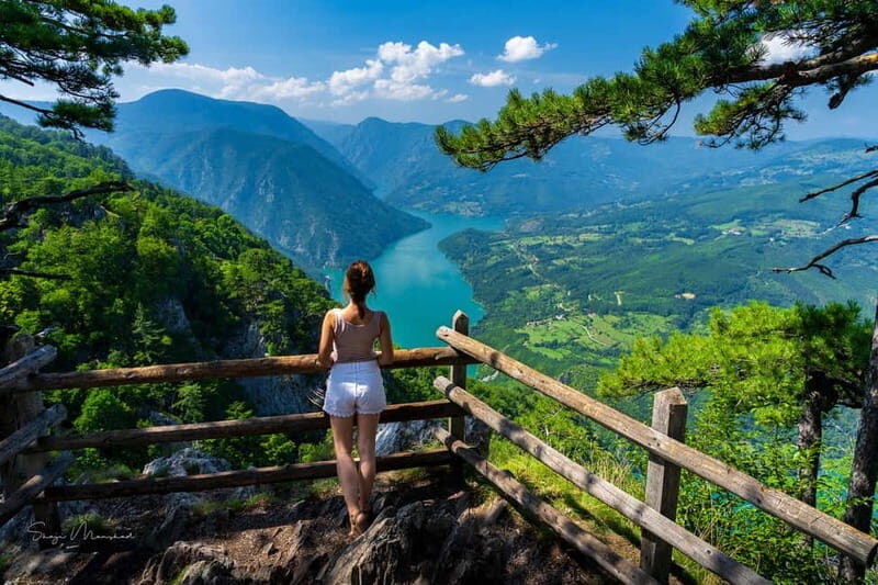 Serbia: Drina River House & Tara National Park Full Day Tour - The Practical Side: What’s Included and What’s Not