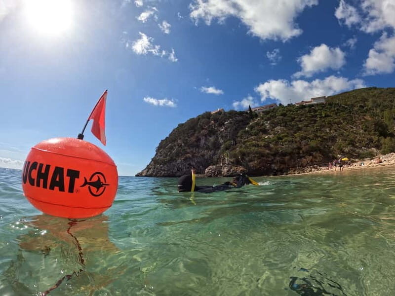 Sesimbra:Snorkeling experience in Marine Reserve with photos - The Quality of Guides and Overall Experience