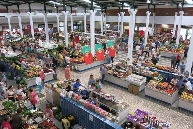 Setúbal: Private Walking Tour with Tastings - Who Will Love This Tour?