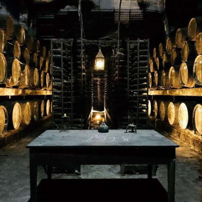 Setúbal Wine Tour: Discover the Moscatel Wine - Final Word: Is It Worth It?