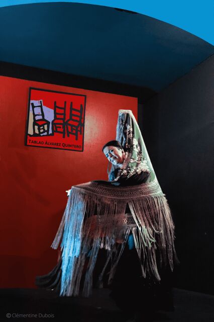 Sevilla: Flamenco Show at Tablao Álvarez Quintero - Who Will Love This Experience?