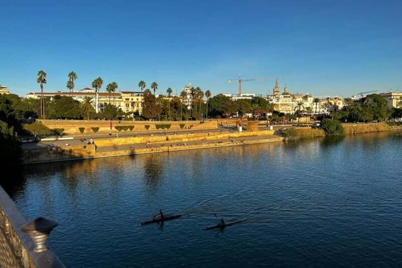 Sevilla Private Full-Day Tour from Malaga - The 2-Hour Private Walking Tour in Seville