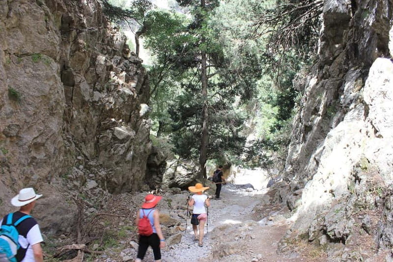 Sfakia Private Escape: Imbros Gorge, History & Hidden Beach - What You Can Expect on Your Day