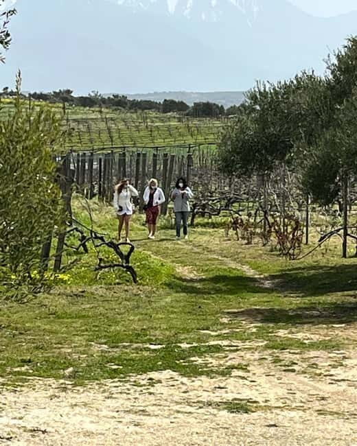 Shuttle & Wine Experience at Lyrarakis Winery - Practical Details and Value