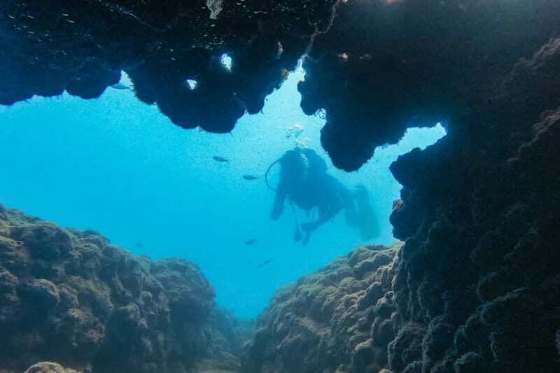 Side: Scuba Diving, Underwater Museum, 2 Dives incl. Lunch - What Travelers Say: Authentic Voices