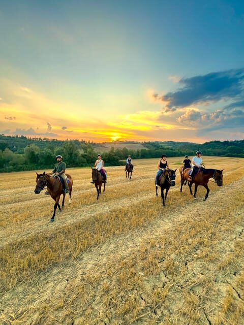 Siena: Horseback Riding with Siena in the background - The Experience and Its Practical Details