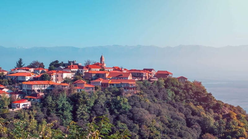 Sighnaghi and Bodbe Wine Tasting private tour: From Tbilisi - Practical Details: What to Expect
