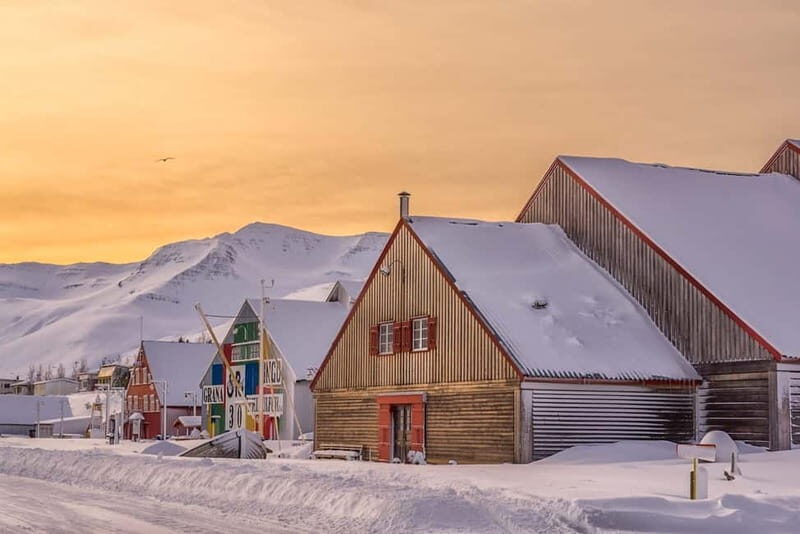 Siglufjordur: Herring Era Museum Entrance Ticket - Who Would Love This Tour?