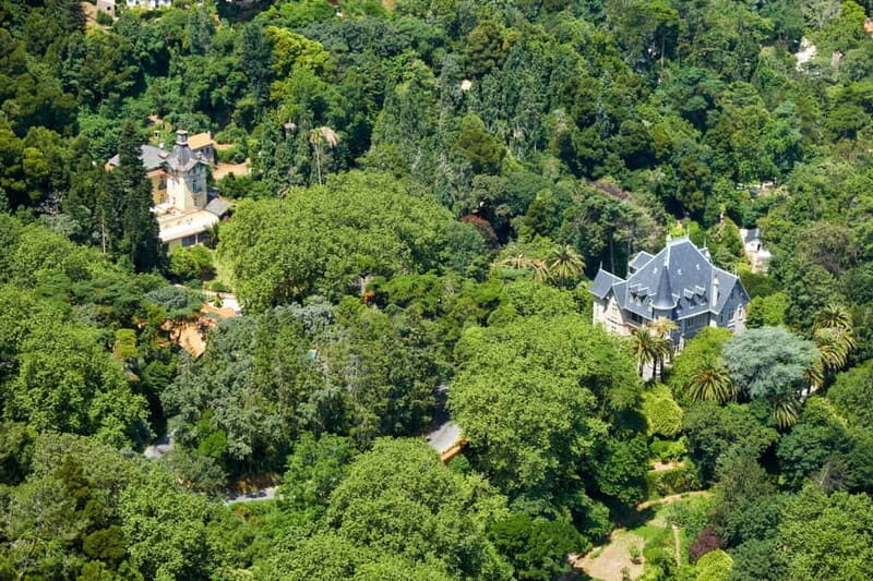 Sintra: Private Sightseeing Tuk Tuk Tour with Local Guide - An In-Depth Look at the Tour Experience