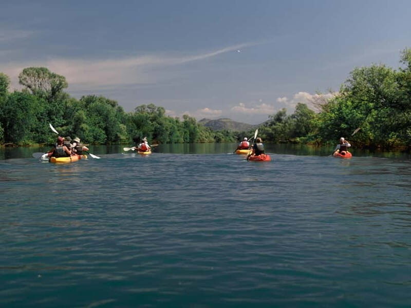 Skadar Lake: 4-Hour Guided tours on Kayak - The Itinerary in Detail