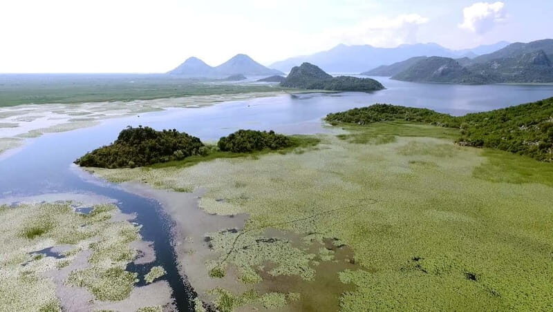 SKADAR LAKE: A national park with amazing flora and fauna! - What to Expect from the Tour  