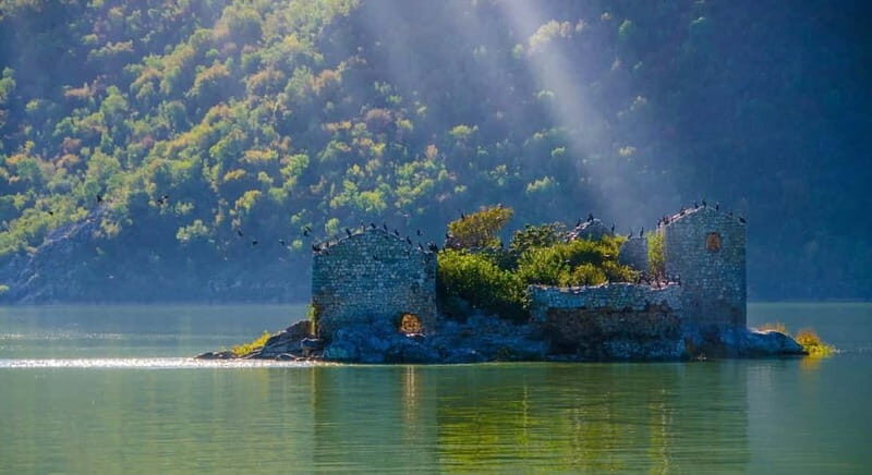 Skadar Lake Boat Tour with Transfer from Podgorica - Authentic Experiences and Traveler Perspectives