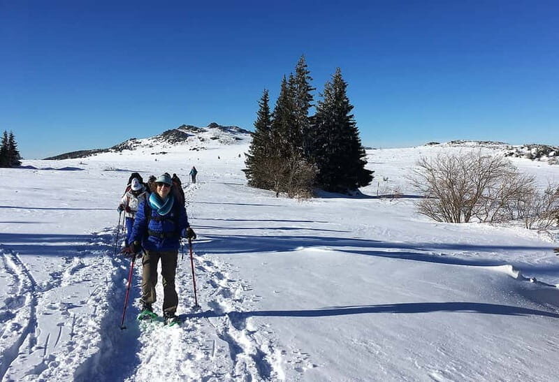 Sofia: Black Peak-Vitosha Mountain Snowshoeing Day Trip - What To Keep in Mind