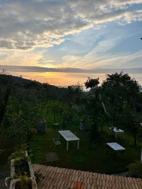 Sorrento: Cooking with a Local Chef & Wine Pairing by the Sea - Dining in the Garden: An Outdoor Feast