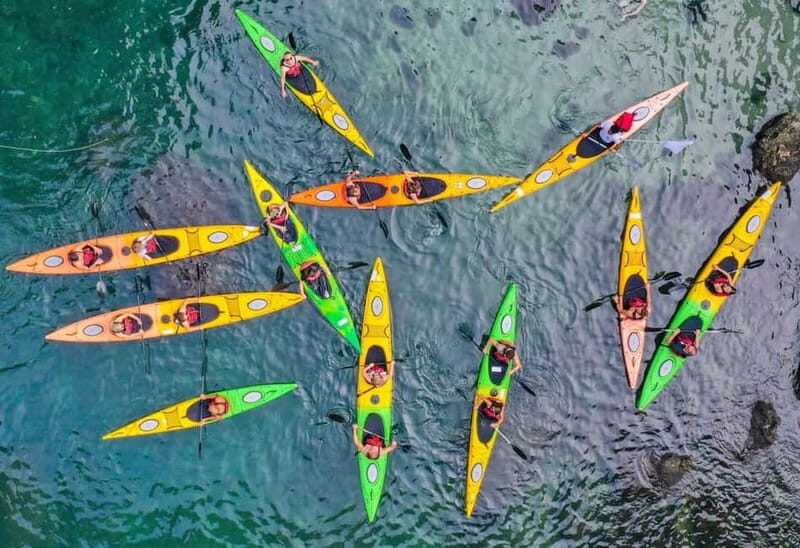 Sorrento: Guided Kayak Tour with Paddleboarding - Who Should Consider This Tour