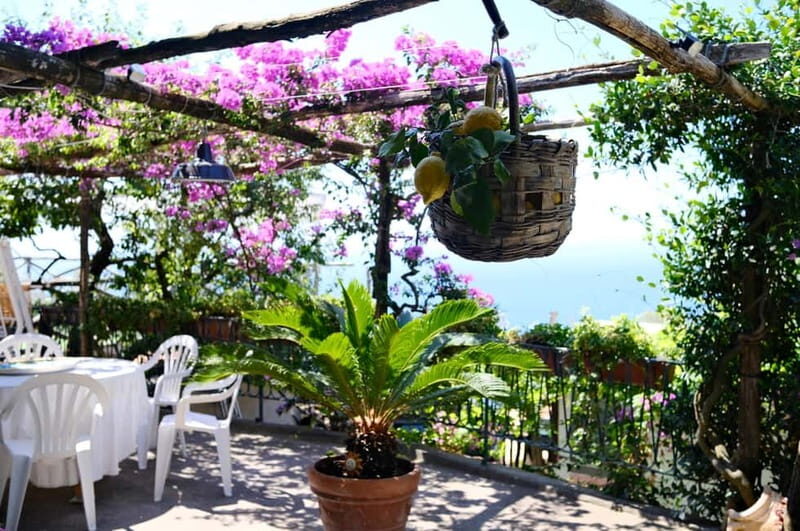 Sorrento: Marì Cooking Class in a Family Farm w/ Coast View - What Travelers Love Most