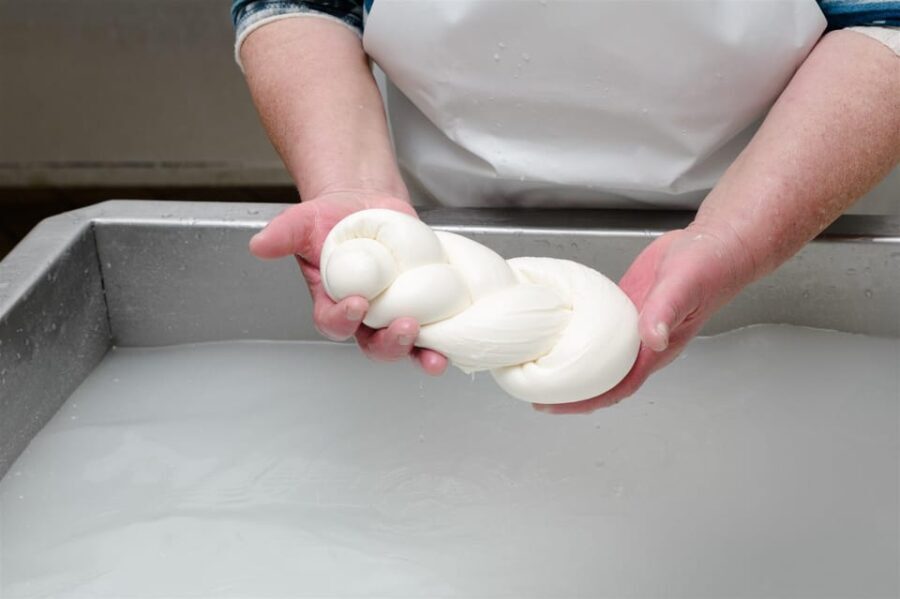 Sorrento: mozzarella cheese workshop in Vico Equense - What Makes This Tour Stand Out?