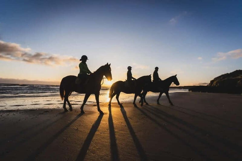 SoulRide: Horseback & Mindful Escape in Kissamos - What Travelers Are Saying