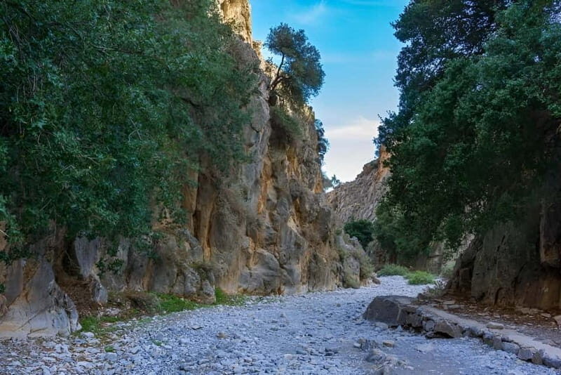 South Crete Tour from Heraklion - Transportation and Practicalities