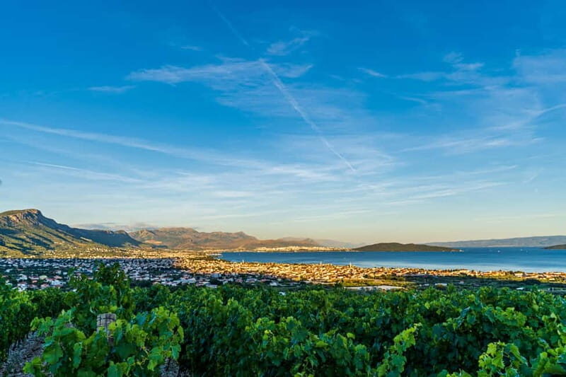 Split/Grad Katela: Vineyard Hen Party Dinner with Transfers - What Makes This Experience Stand Out?