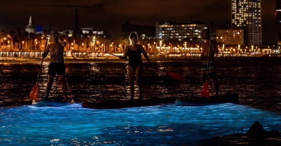 Starlight Paddlesurf during the night in Barcelona - Itinerary Breakdown
