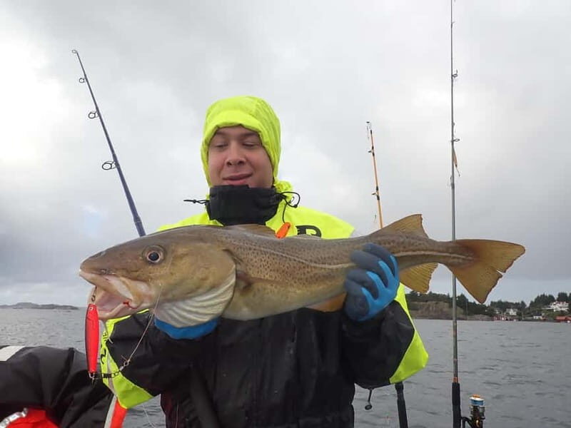Stavanger: Lysefjord Cruise, Fishing, and Dinner Tour - Practical Details and Value