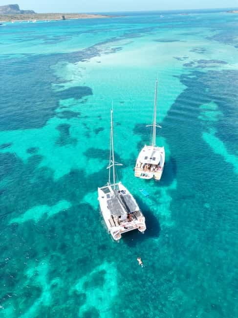 Stintino: full day tour catamaran Asinara Island - The Itinerary: What to Expect
