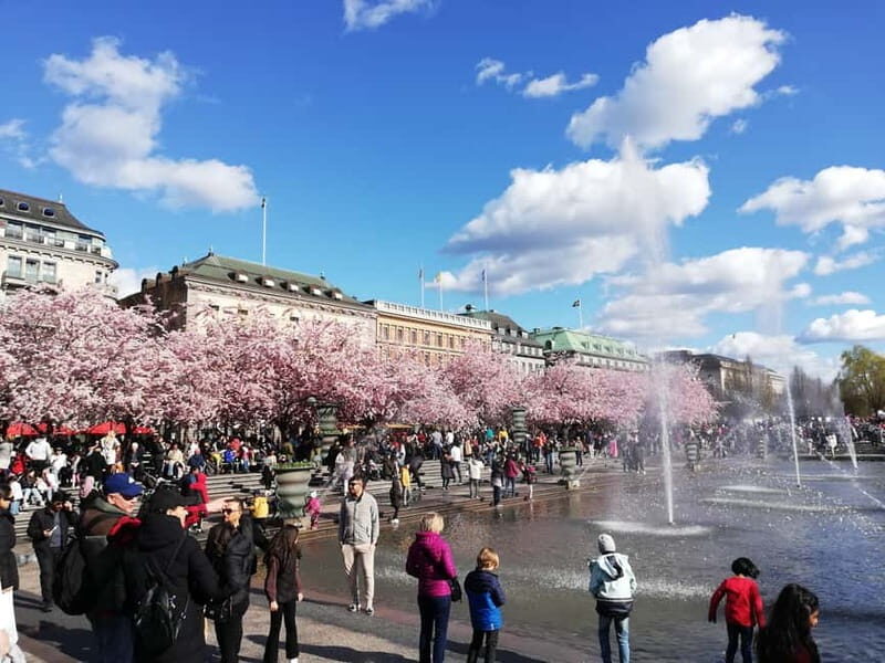 Stockholm: Scandinavian Architecture & Design Ostermalm Tour - Who Will Love This Tour?