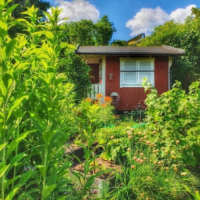 Stockholm: Södermalm Allotment Gardens & Parks Walking Tour - The Practical Side: What to Know Before You Go  
