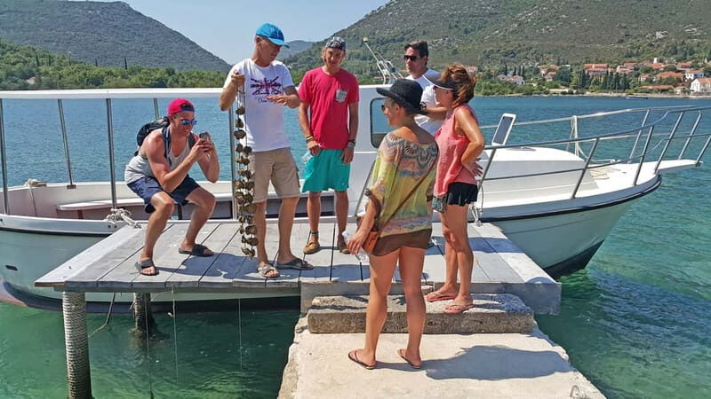 Ston Oyster & Wine Tasting Private Tour From Dubrovnik - The Seafood Feast and Oyster Farm Experience