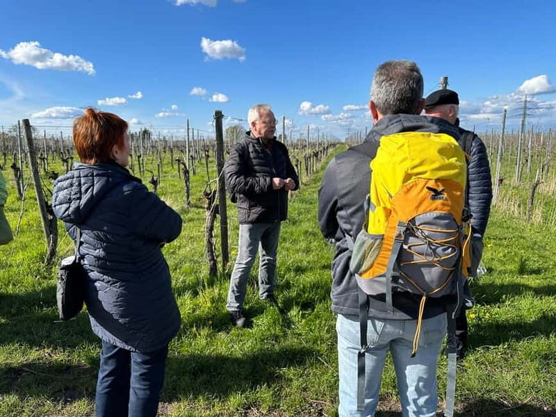 Stuttgart: After work wine walk with tasting - A Detailed Look at the Experience