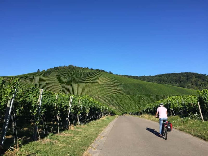 Stuttgart: E-bike wine tour including tasting - Who Is This Tour Best For?