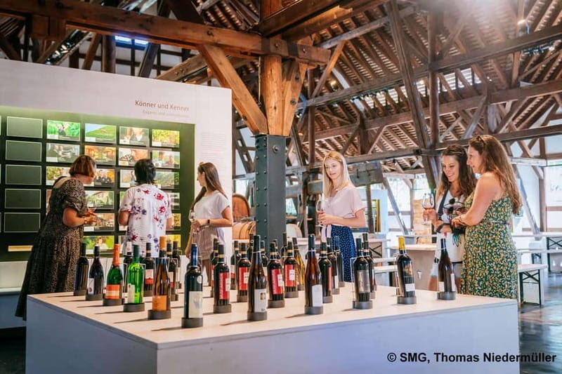 Stuttgart: Taster tour of the Wine Museum incl. 0.1 l wine - A Closer Look at the Stuttgart Wine Museum Taster Tour