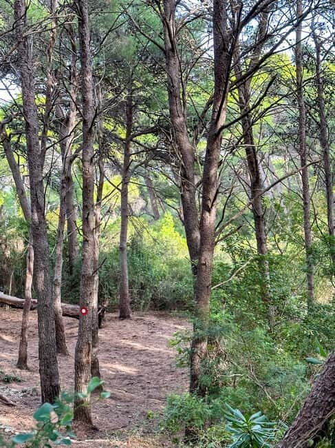 Sunrise & Sunset Hike with Picnic  Mala Petka, Dubrovnik - The Practical Details