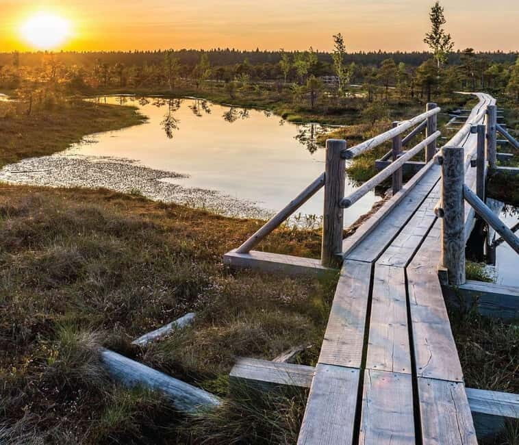 Sunrise Tour To Great Kemeri Bog - Who Should Consider This Tour?