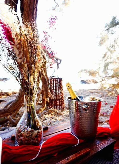 Sunset Picnic - Practical Tips for Your Sunset Picnic
