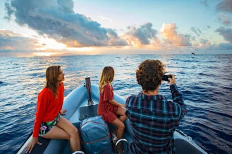 Sunset Trip + Dolphin & Whale Watching - Speed Boat - The Overall Value