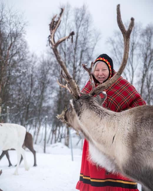 Svolvær: Sami Culture and Reindeer Experience - The Value of This Experience