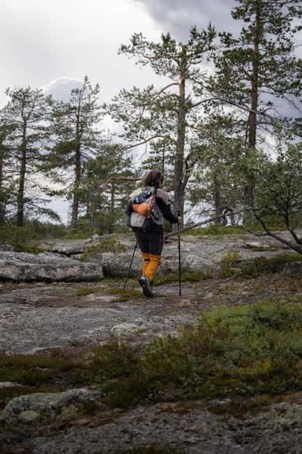 Swedish Lapland: Summer Hike and Midnight Sun Dinner - The Sum Up