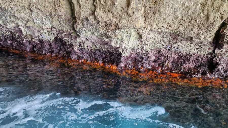 Syracuse: Picnic boat tour of Pillirina, Ortigia & sea caves - Final Considerations: Is This Tour for You?