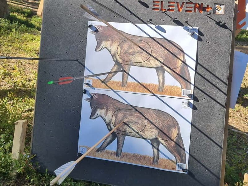 Tallinn: Beginner Archery Class with Transfer - The Venue and Atmosphere
