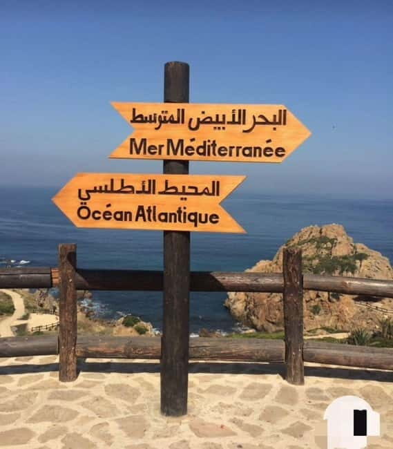 Tangier: Day Trip from Tarifa To Tanger { camel ride { plage - The Itinerary in Detail