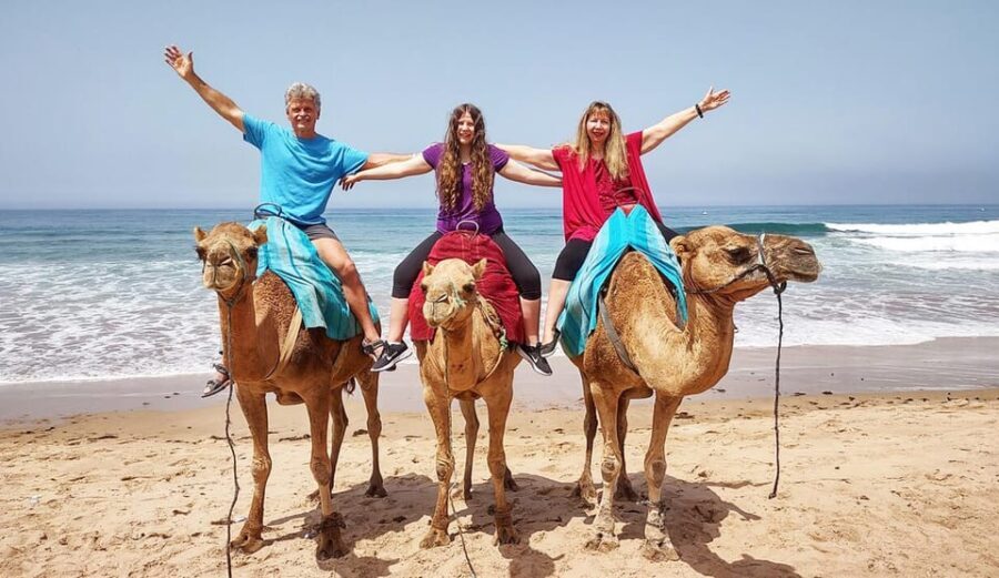 Tangier Private Half-Day Tour + Camel Ride + Add-on: Lunch - The Practical Side: Transportation & Timing