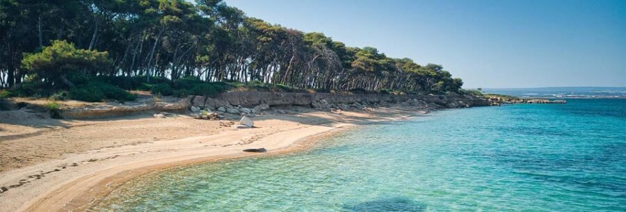 Taranto: Full-Day Private Boat Tour with Aperitif - Analyzing the Value