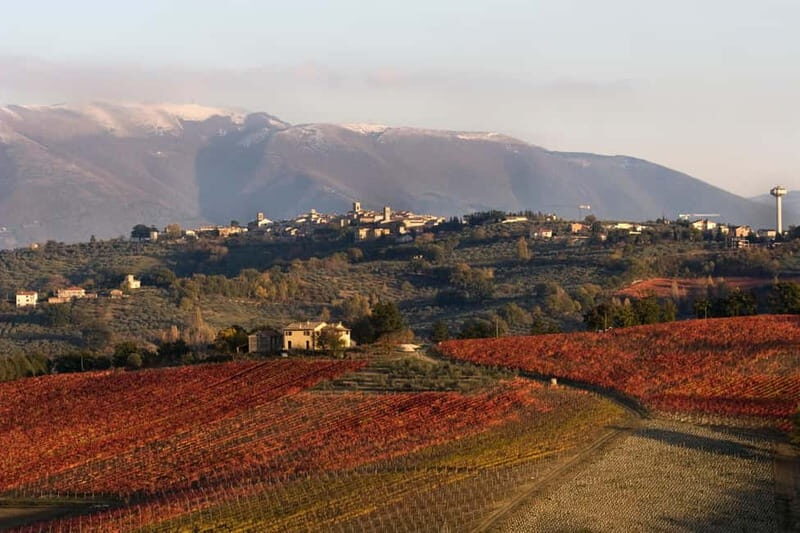 Tasting and tour of the winery - Why This Tour Is Worth Considering